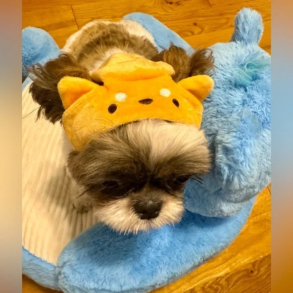 Shiba Inu breed. Pet hat. Famous product Miniso. Cute hat for a pet. - Picture 5 of 13